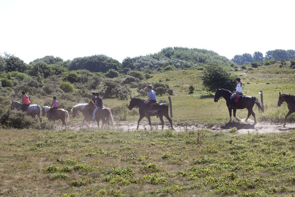 Bungalows – Bungalowpark Mooyeveld – Uniek gelegen in de duinen! Egmond-Binnen Buitenkant foto