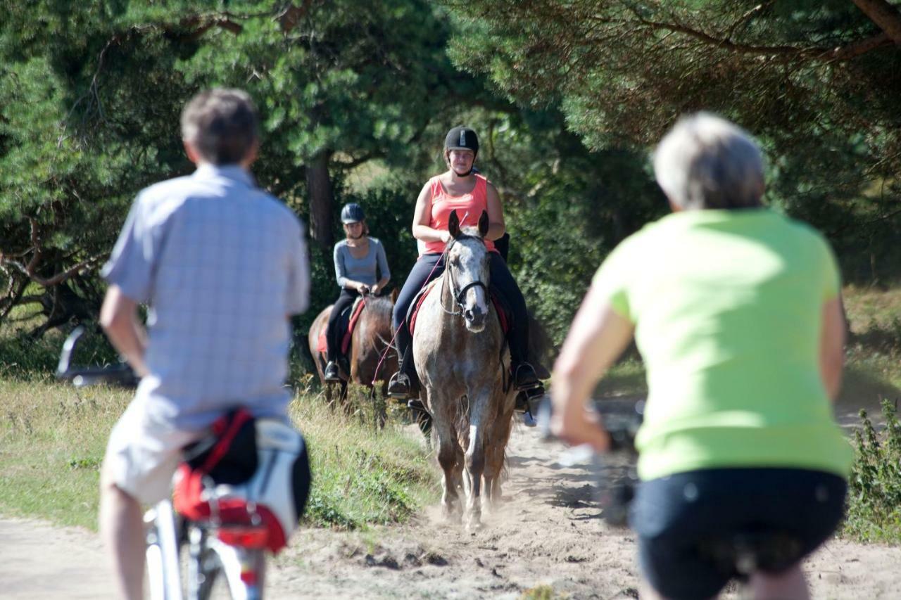 Bungalows – Bungalowpark Mooyeveld – Uniek gelegen in de duinen! Egmond-Binnen Buitenkant foto